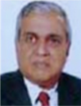 Prof. K. K. Aggarwal